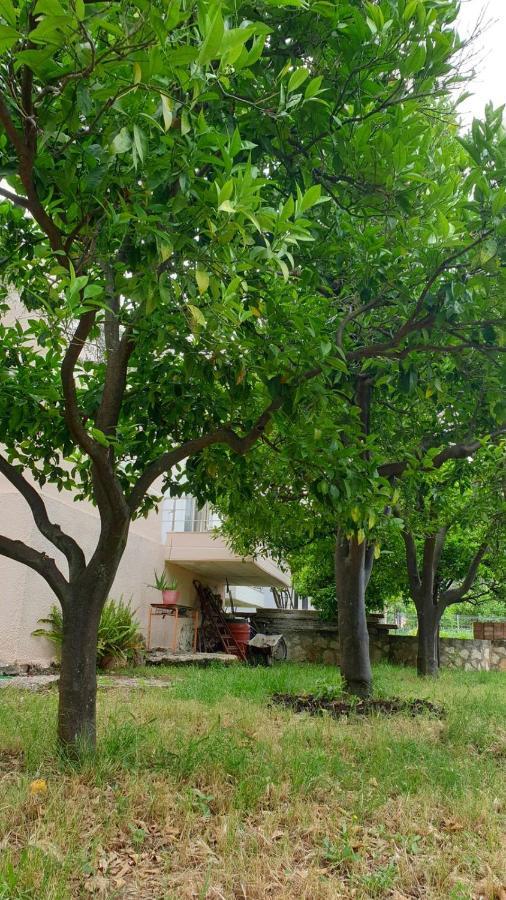 Vila Noga